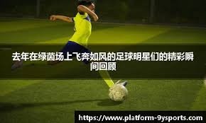 的守备布阵