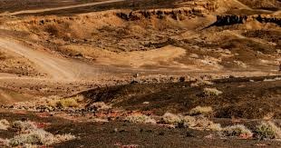 法尔克：于帕优先考虑与拜仁续约，也会考虑巴黎和皇马